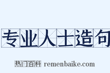 专业人士造句是什么意思的图片